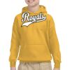 Youth Heavy Blend™ Hooded Sweatshirt Thumbnail